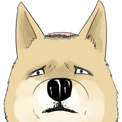 一条狗.使徒子.表情包