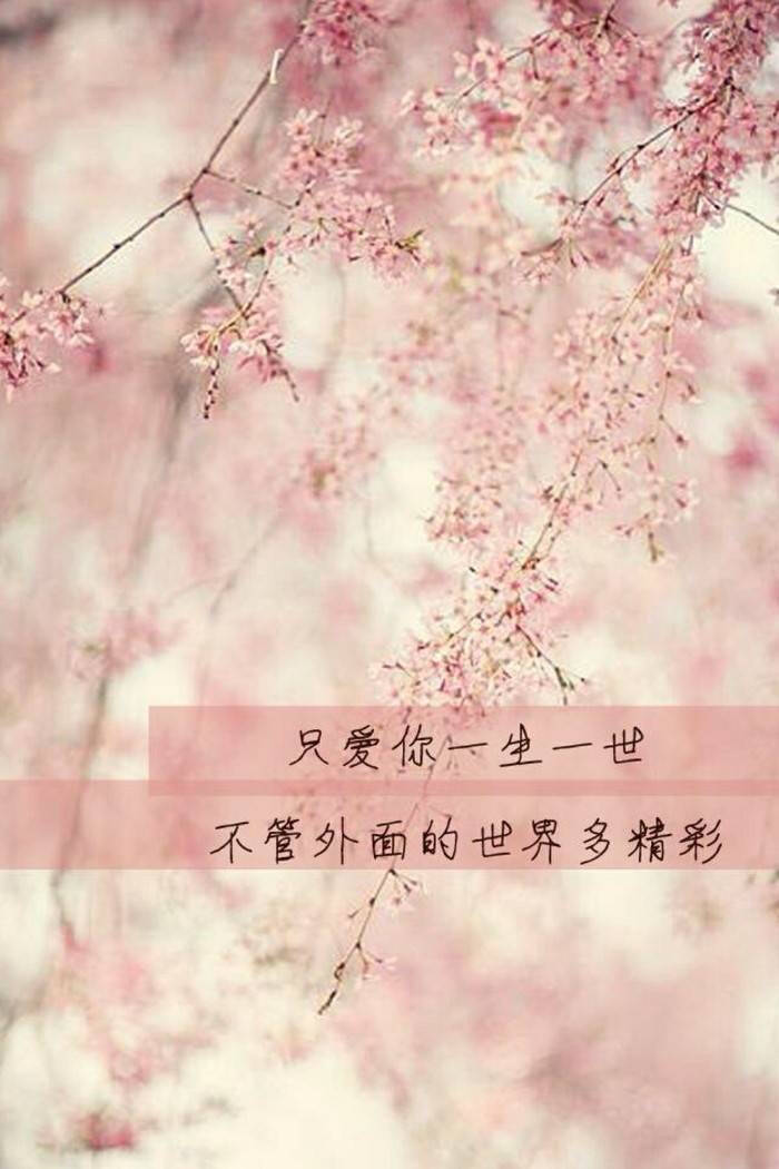 只爱你一生一世,不管外面的世界多精彩