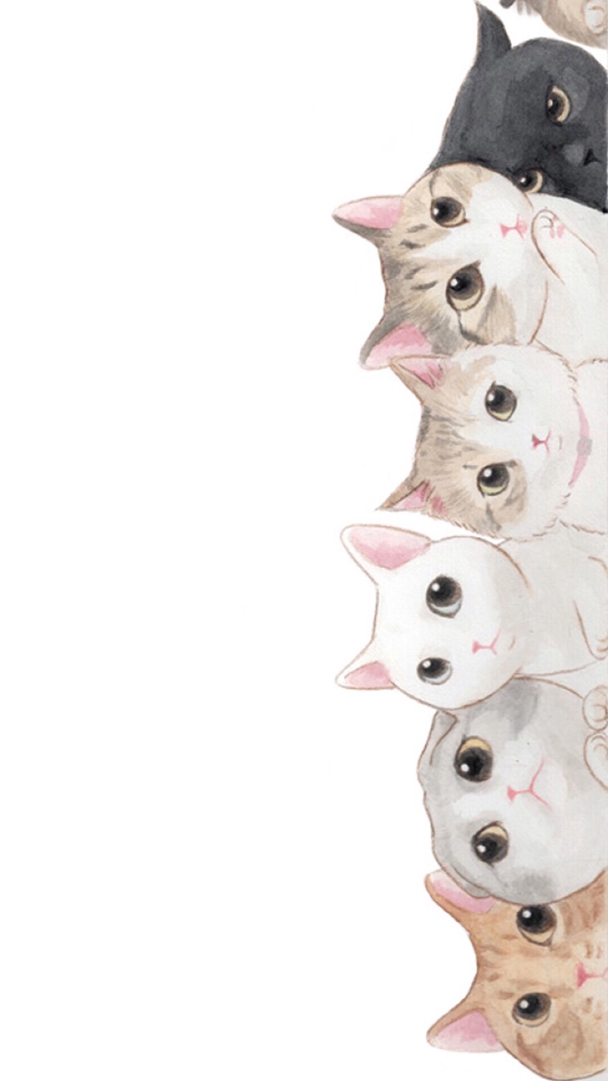 iphone可爱猫咪壁纸锁屏
