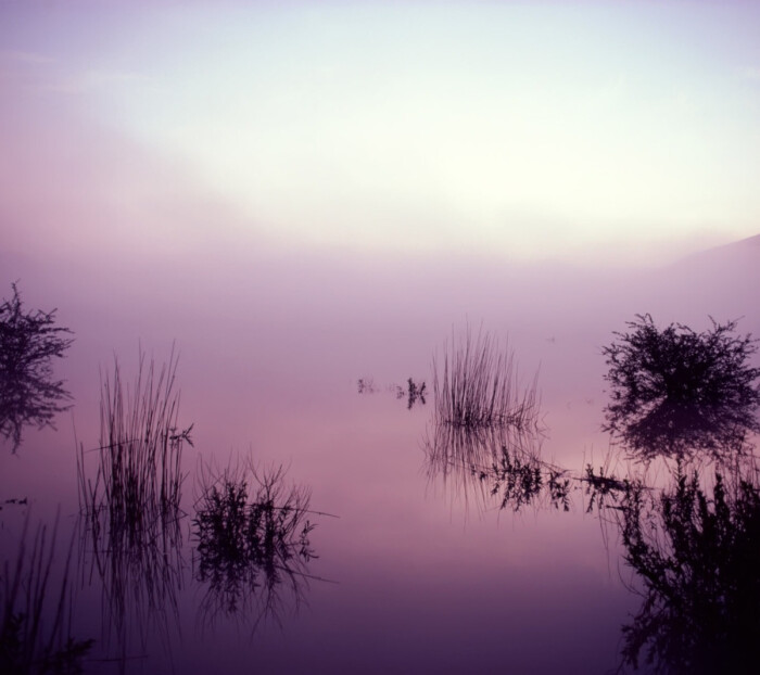 高清壁纸,风景,紫色,迷雾,湖