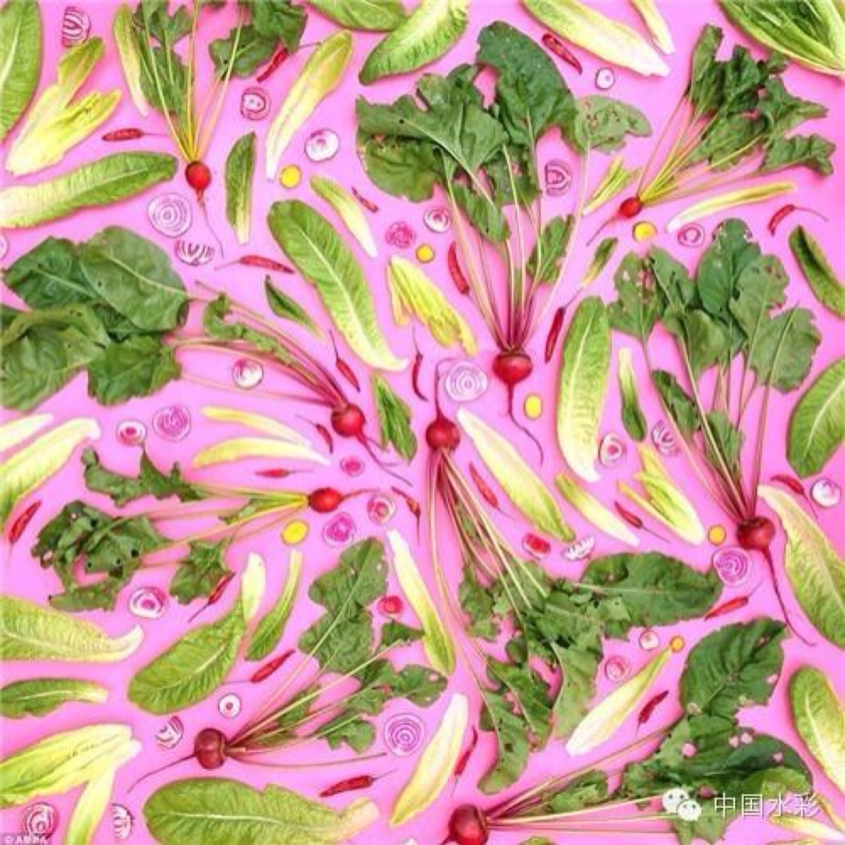 amber决定变身为纯素食主义者.