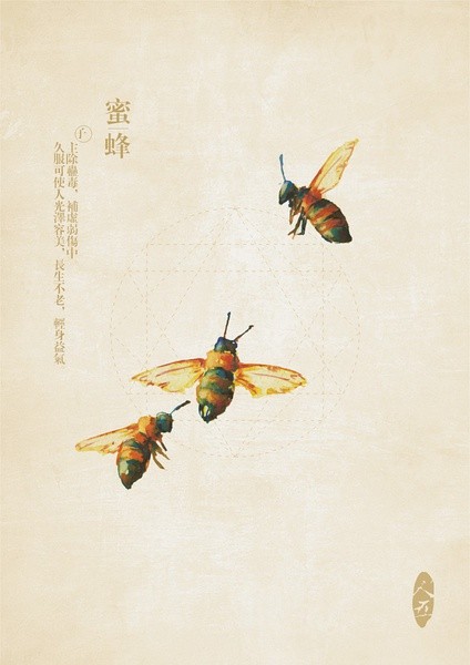 壁纸动物鸟鸟类424_600竖版竖屏蚊子冬天的手机时候都去哪里了图片