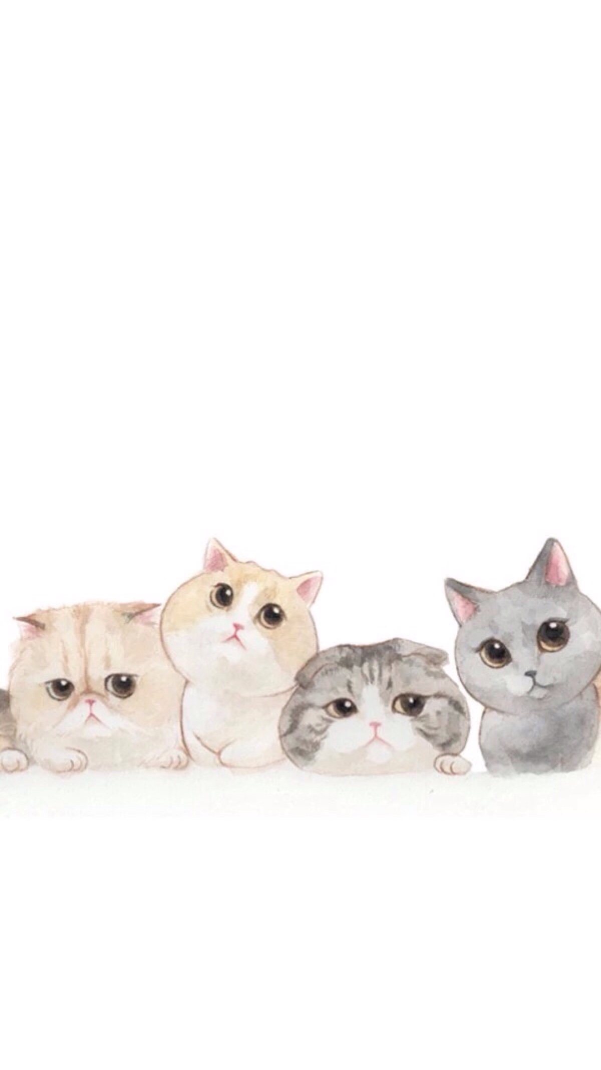Iphone桌面卡通猫 Iphone桌面卡通猫图片分享