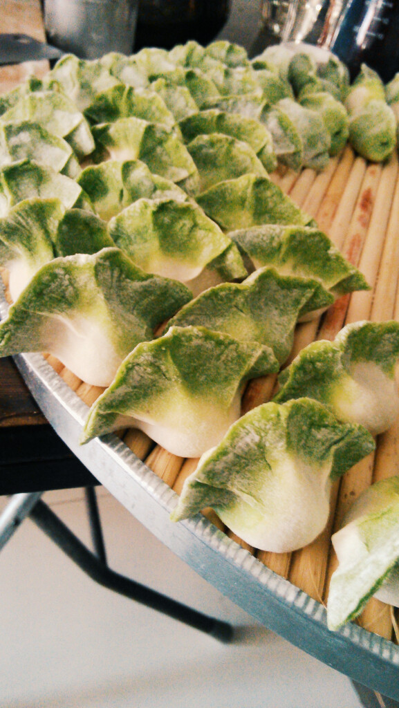 翡翠白菜饺子