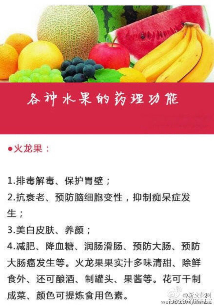 各种水果知识8