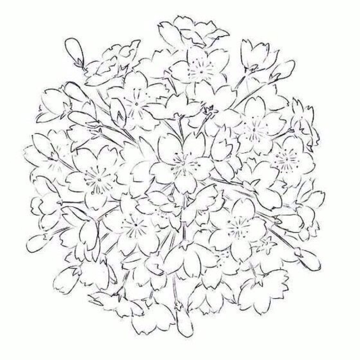 花花
