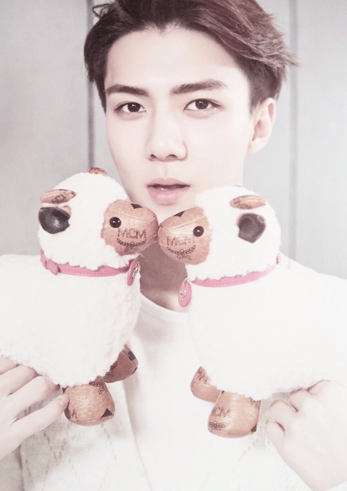 exo 吴世勋