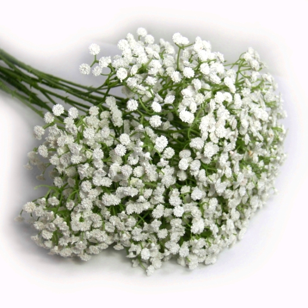 送你一束满天星