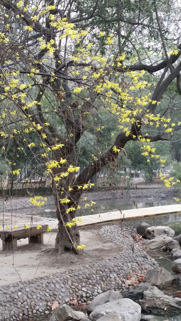 春生万物