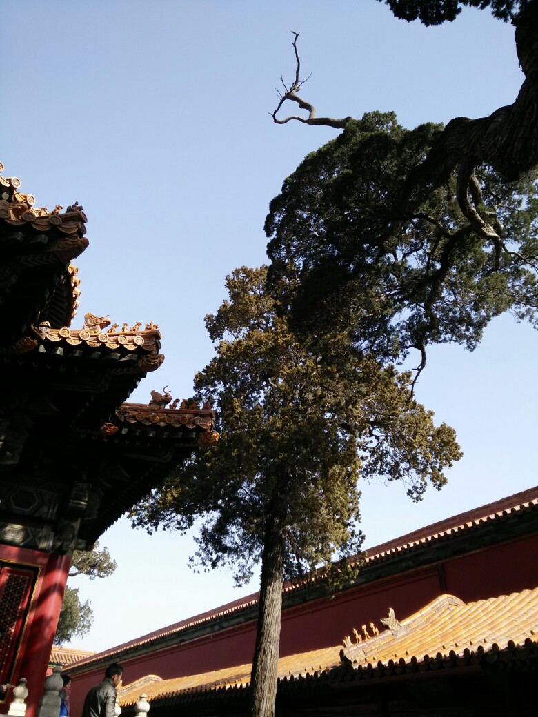 故宫御花园