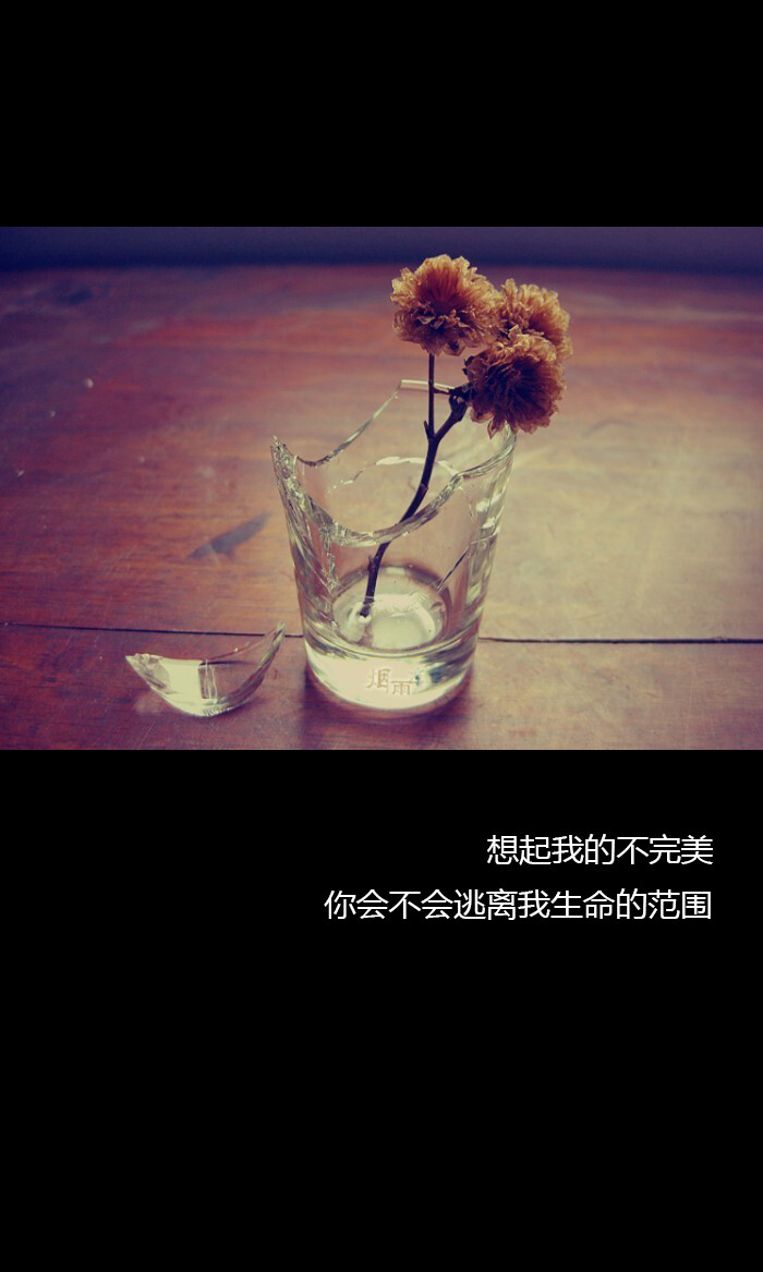 想起我的不完美 你会不会逃离我生命的范围 v.chen