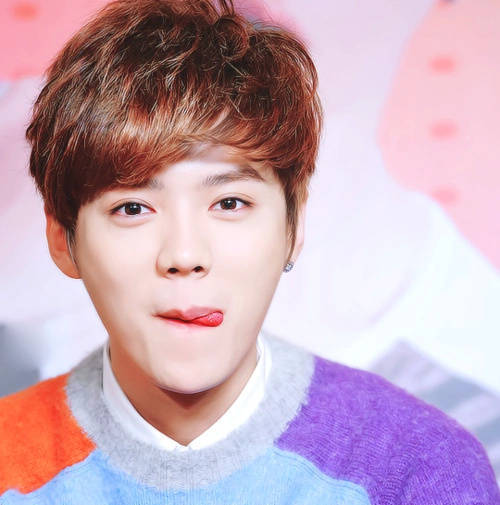 exo 鹿晗 头像