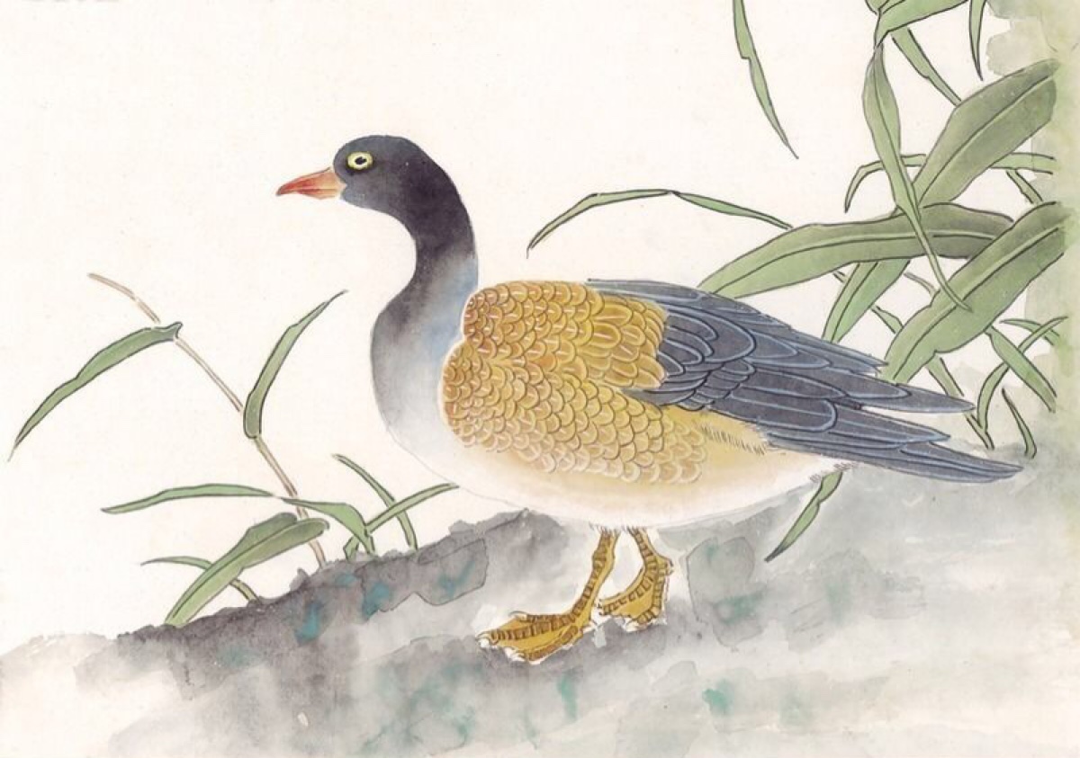 中国古典工笔花鸟