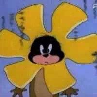 炸开花的小杰克