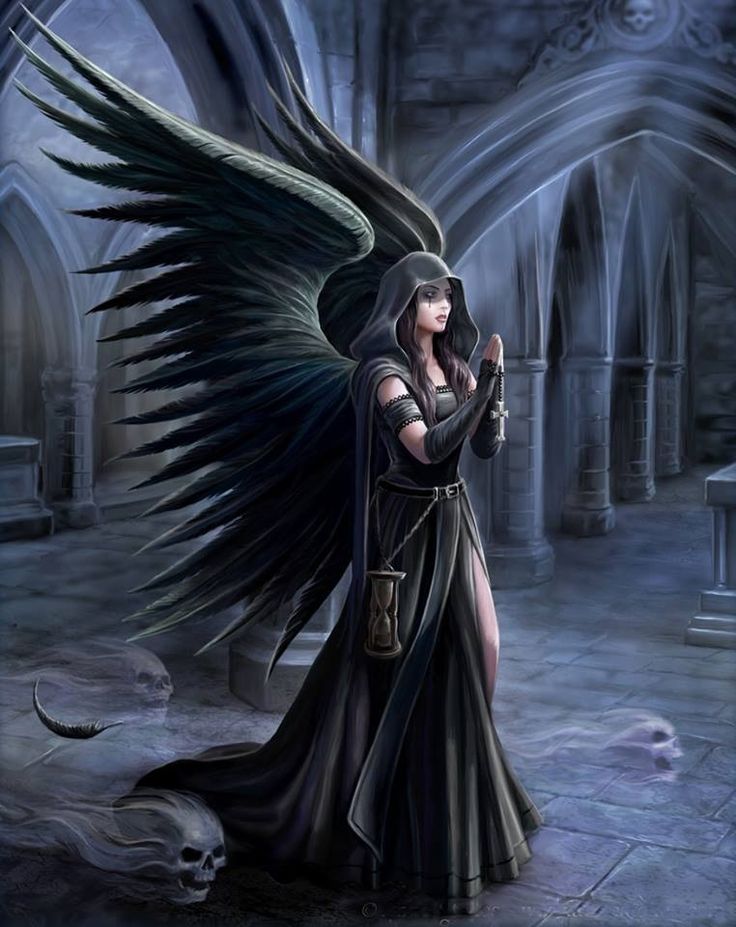 heaven black wings flight angel