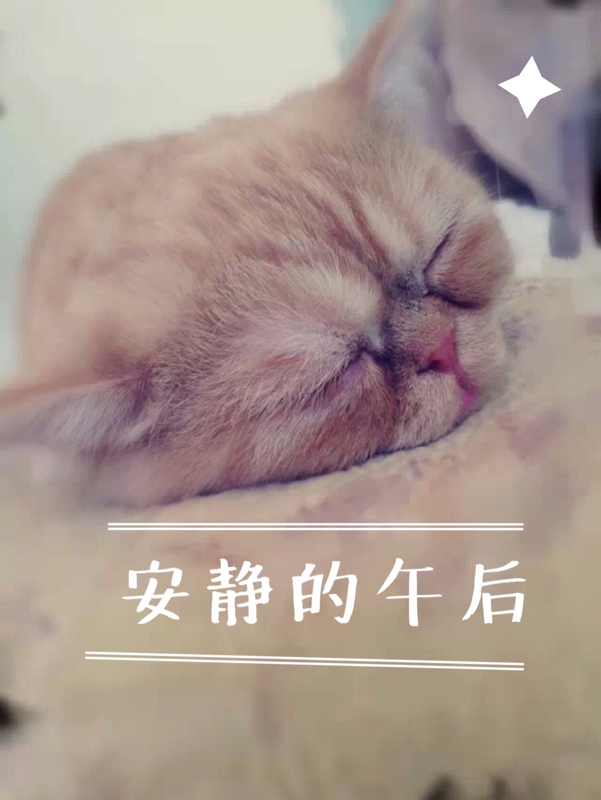 午觉抓拍-堆糖,美好生活研究所