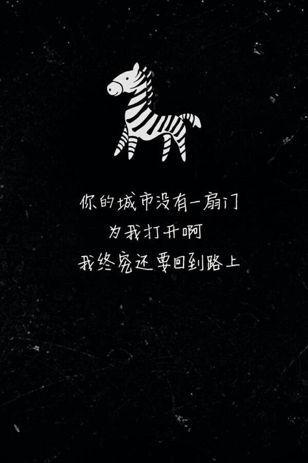 壁纸,黑白,斑马.
