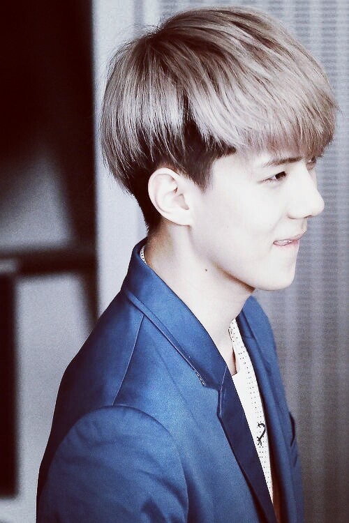 exo 吴世勋