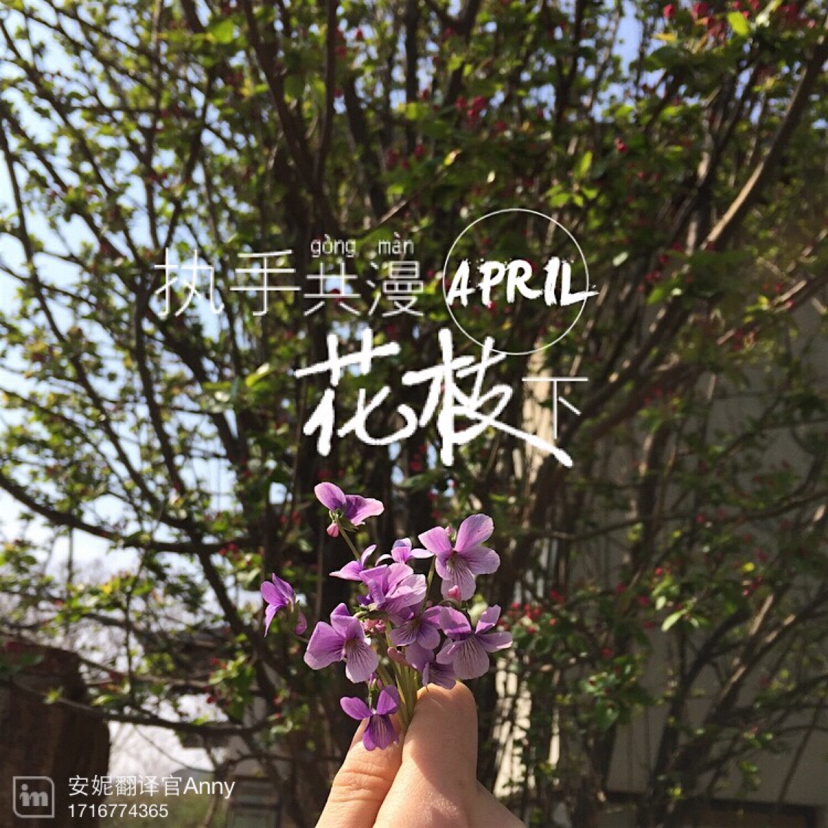 原创花儿春天壁纸头像文艺