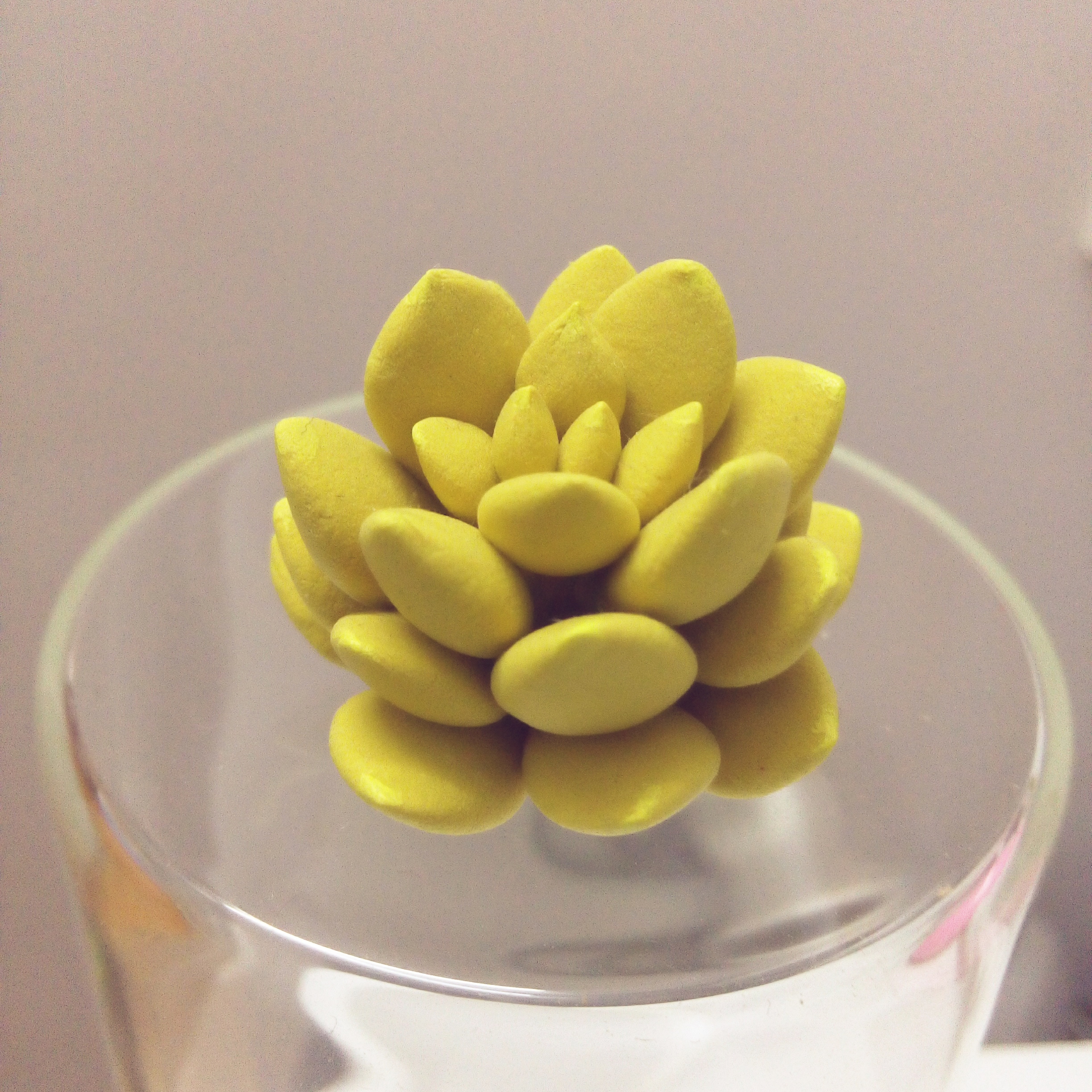 多肉2 超轻粘土