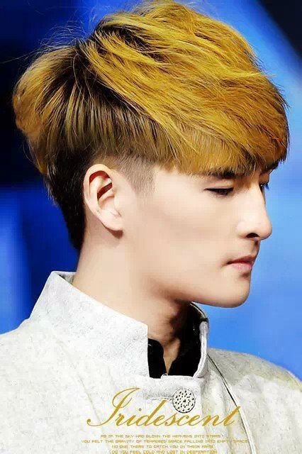 至上励合张远帅帅哒