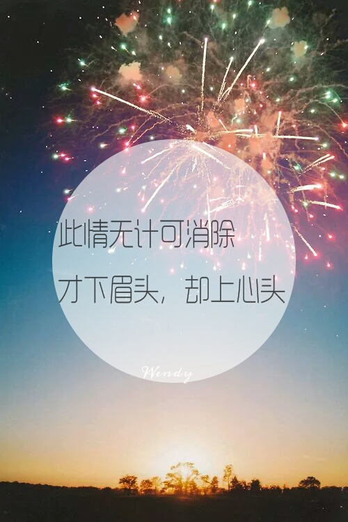 李清照〕此情无计可消除,才下眉头,却上心头—wendy制作