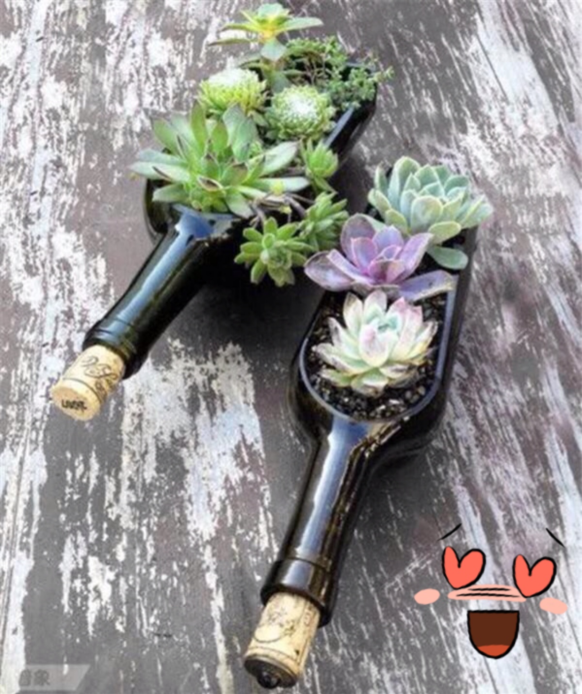 "环保"不只是口号 酒瓶变花瓶