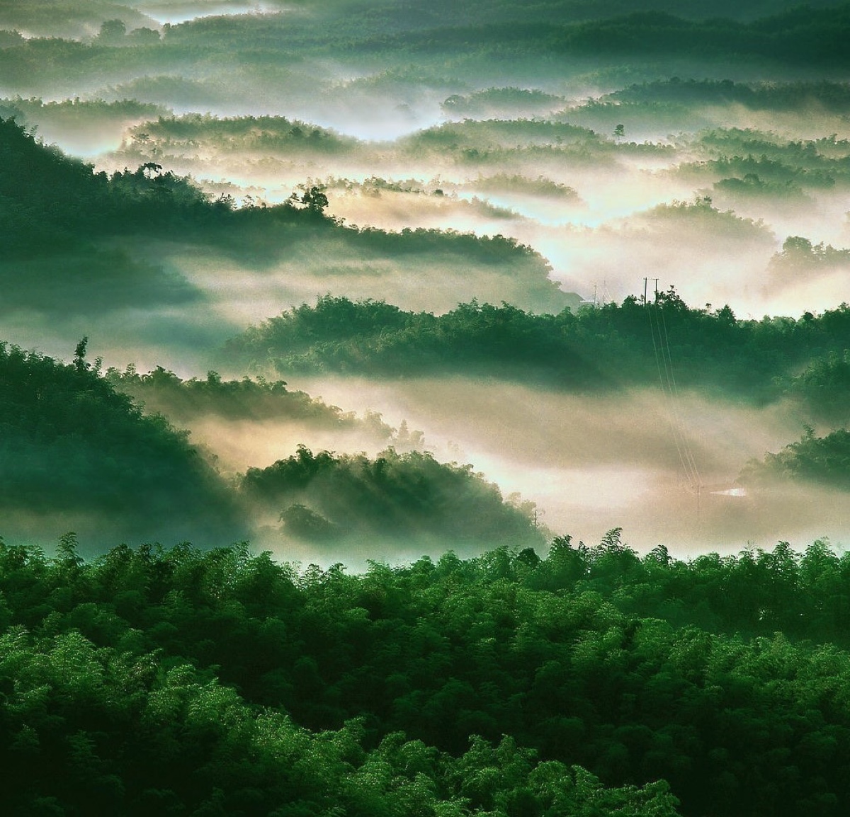 蜀南竹海是四川南部地区的旅游胜地,位于宜宾市长宁,江安两县,是极