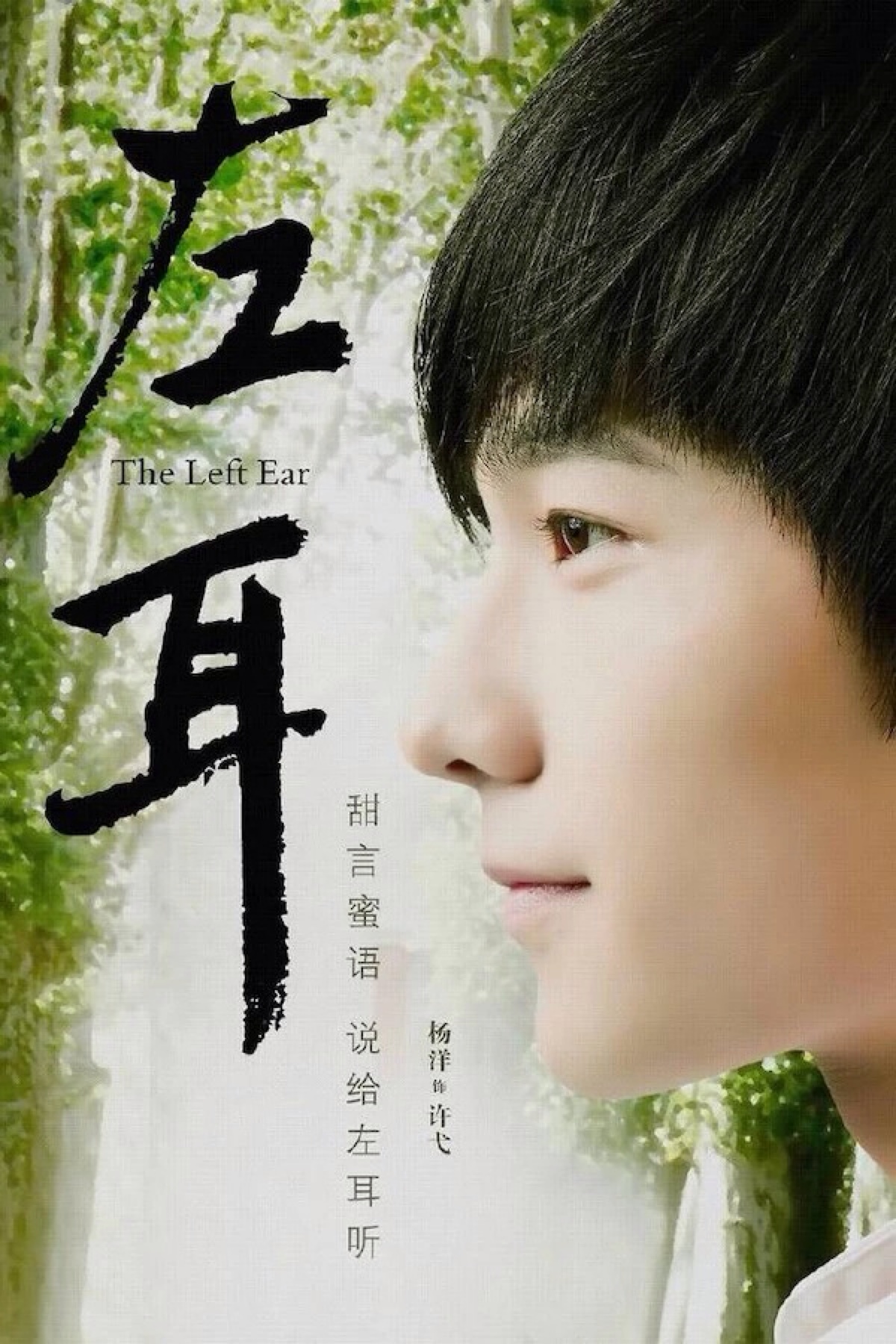 杨洋 左耳.