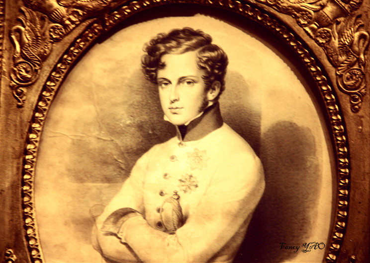 【南京博物院】特展区——拿破仑帅惨了的儿子,可能是太帅了所以没有