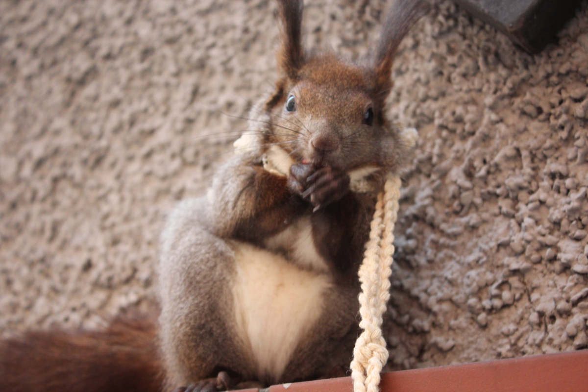 清明节带时雨去广州玩儿啦~这家伙真是越长大越怂