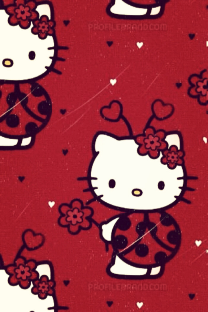 kitty是只胖猫咪