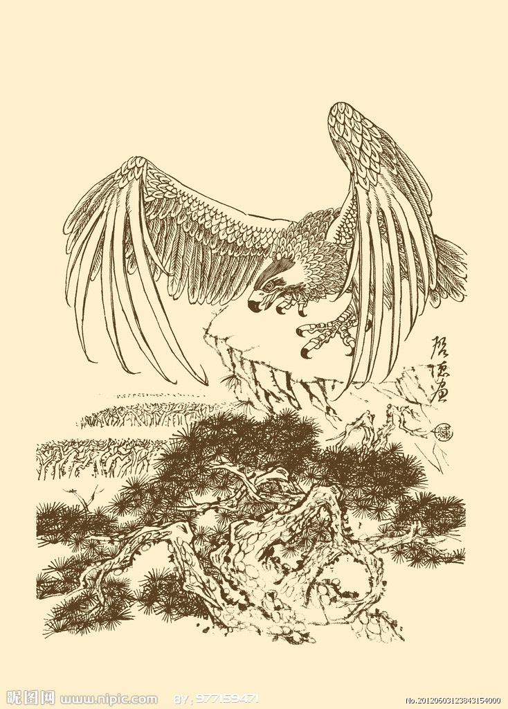 盘鹰绘画 画法图片