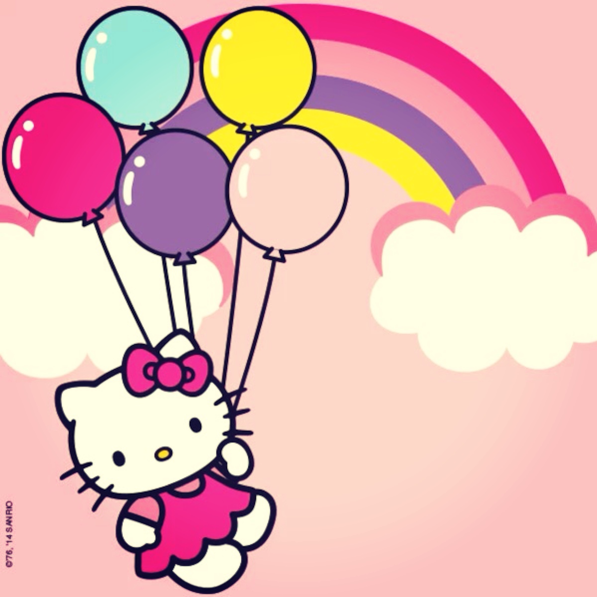 kitty是只胖猫咪~-堆糖,美好生活研究所