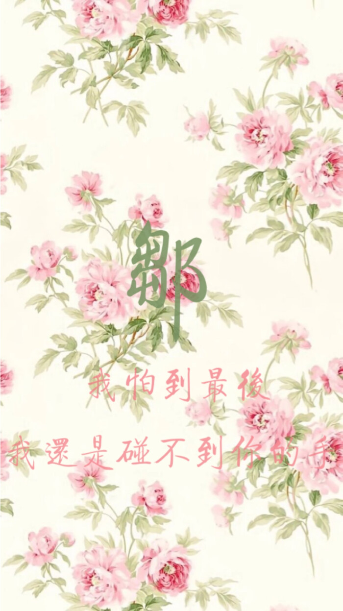 邹姓壁纸