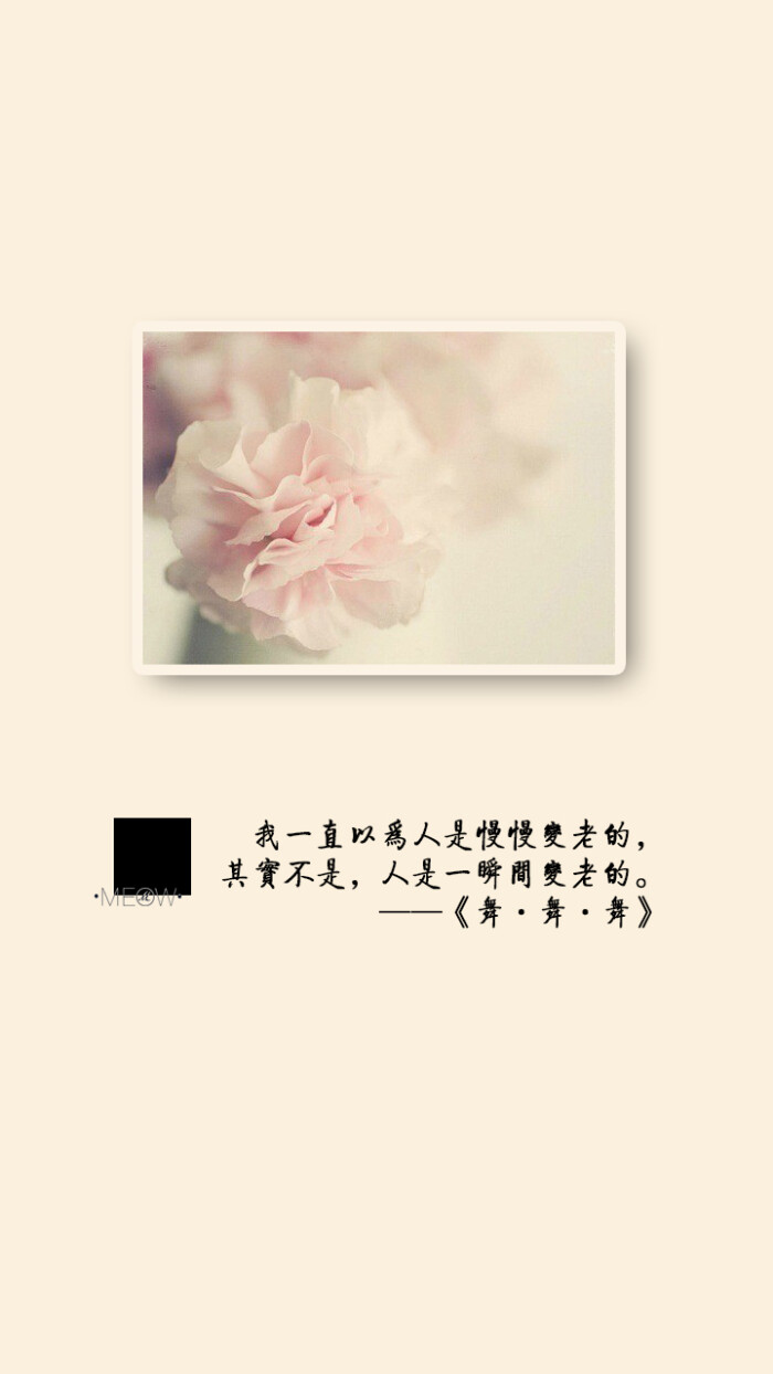 文字壁纸 meow壁纸 不换壁纸就闹心 iphone5壁纸 村上春树语录