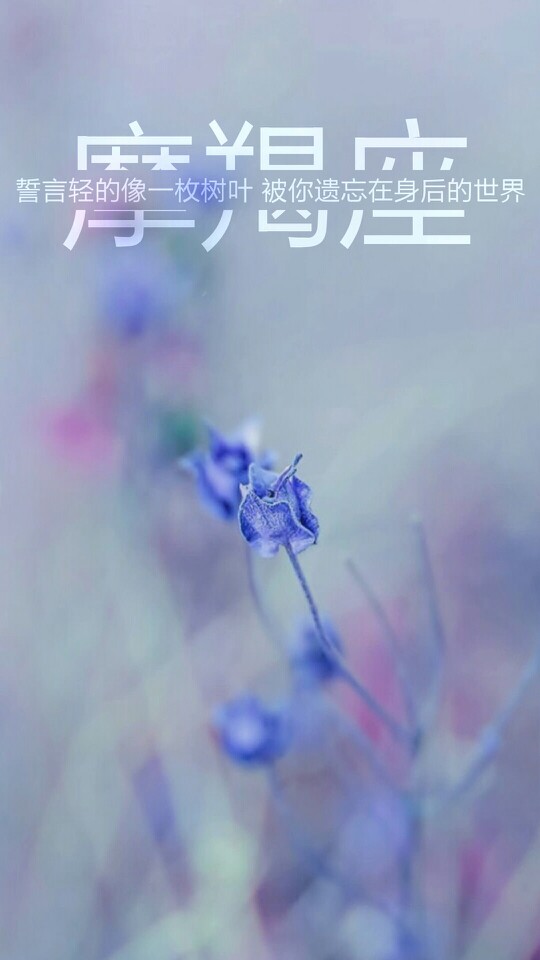 壁纸使者原创星座文字摩羯座双子座是上帝的壁纸图片