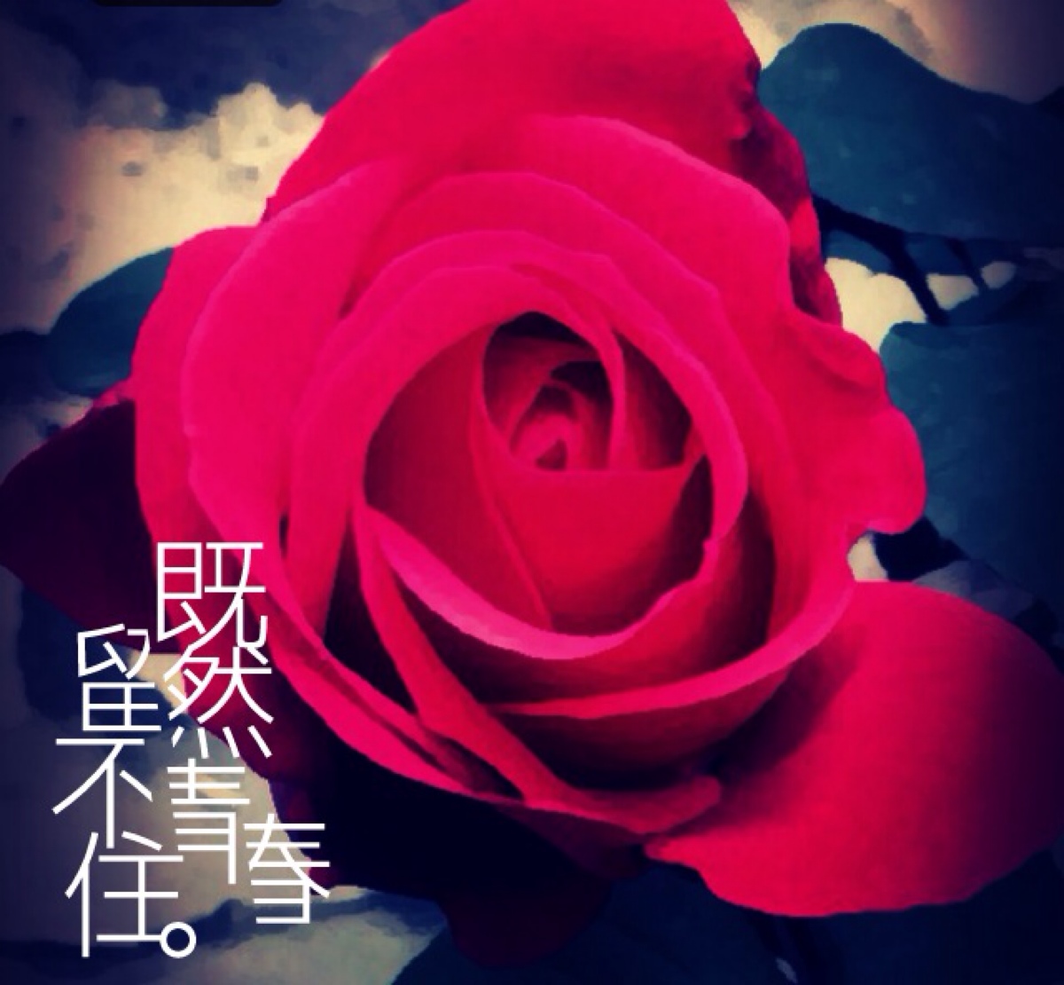 既然青春留不住