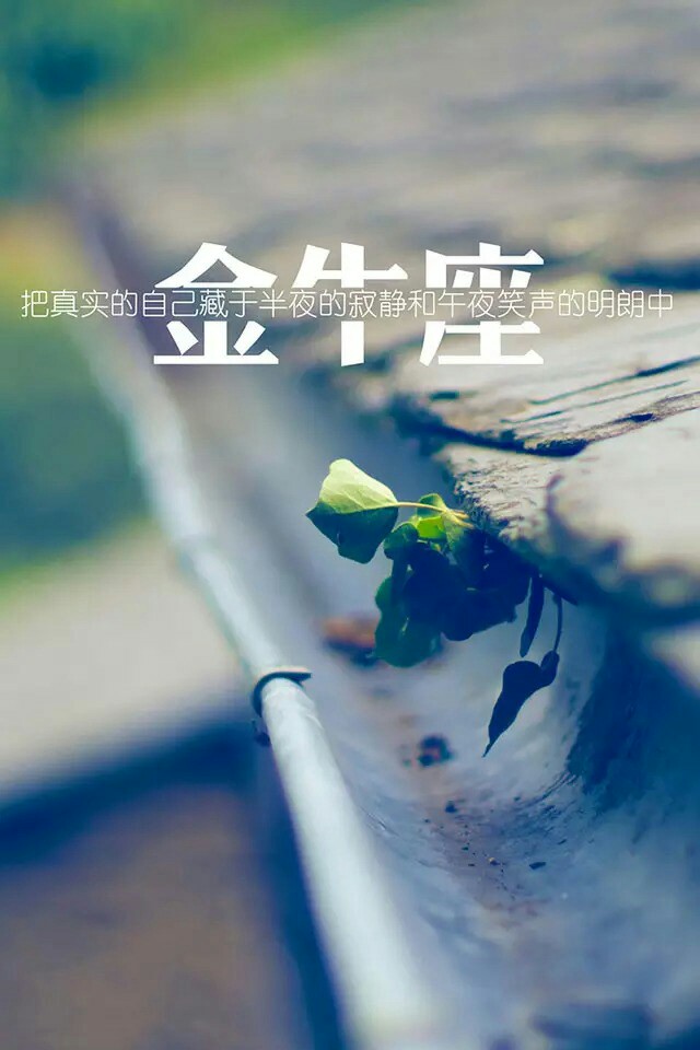 星座壁纸 金牛座