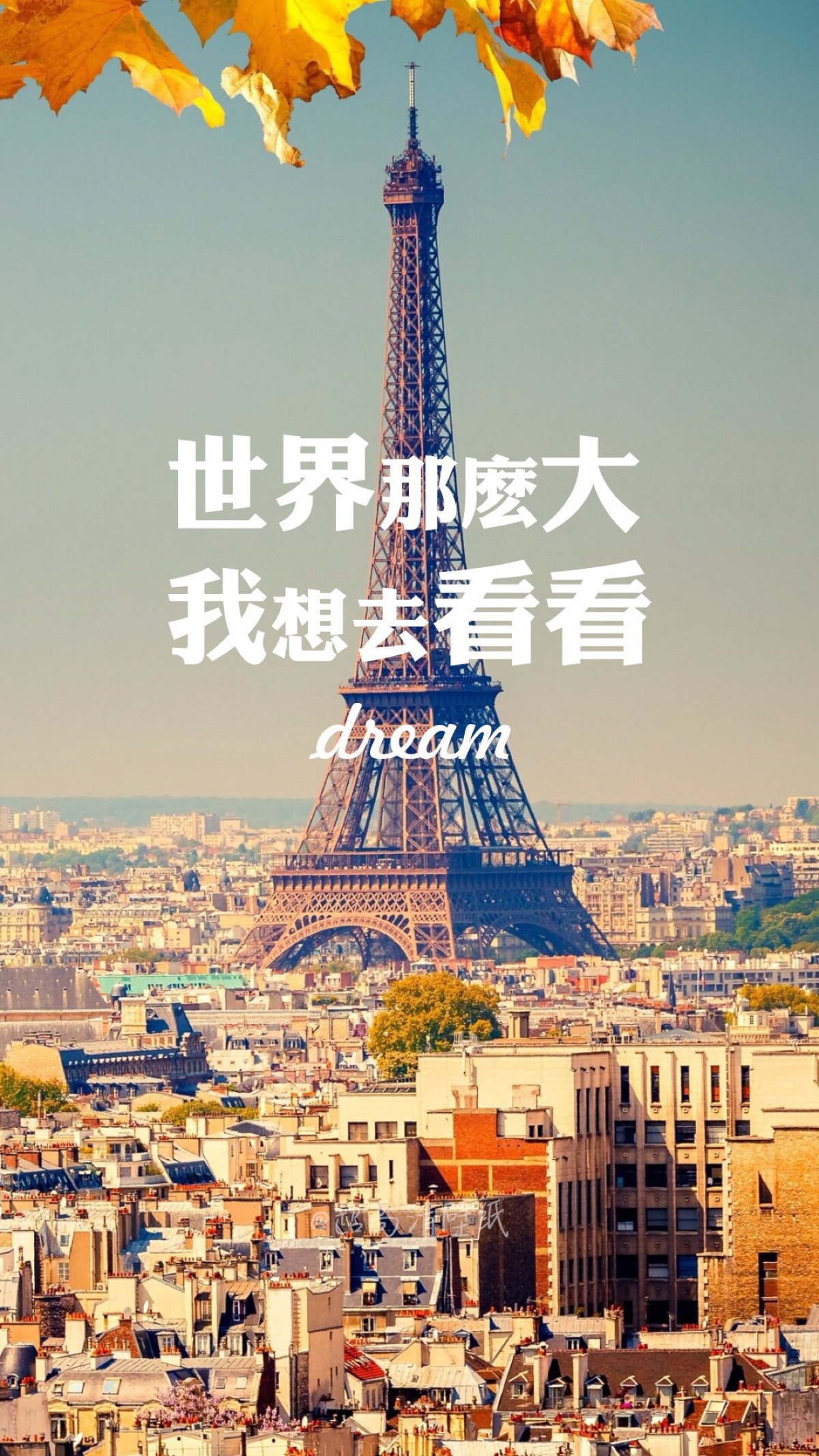 壁纸 辞职信 世界那么大,我想去看看