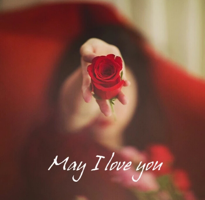 文字may i love you 玫瑰