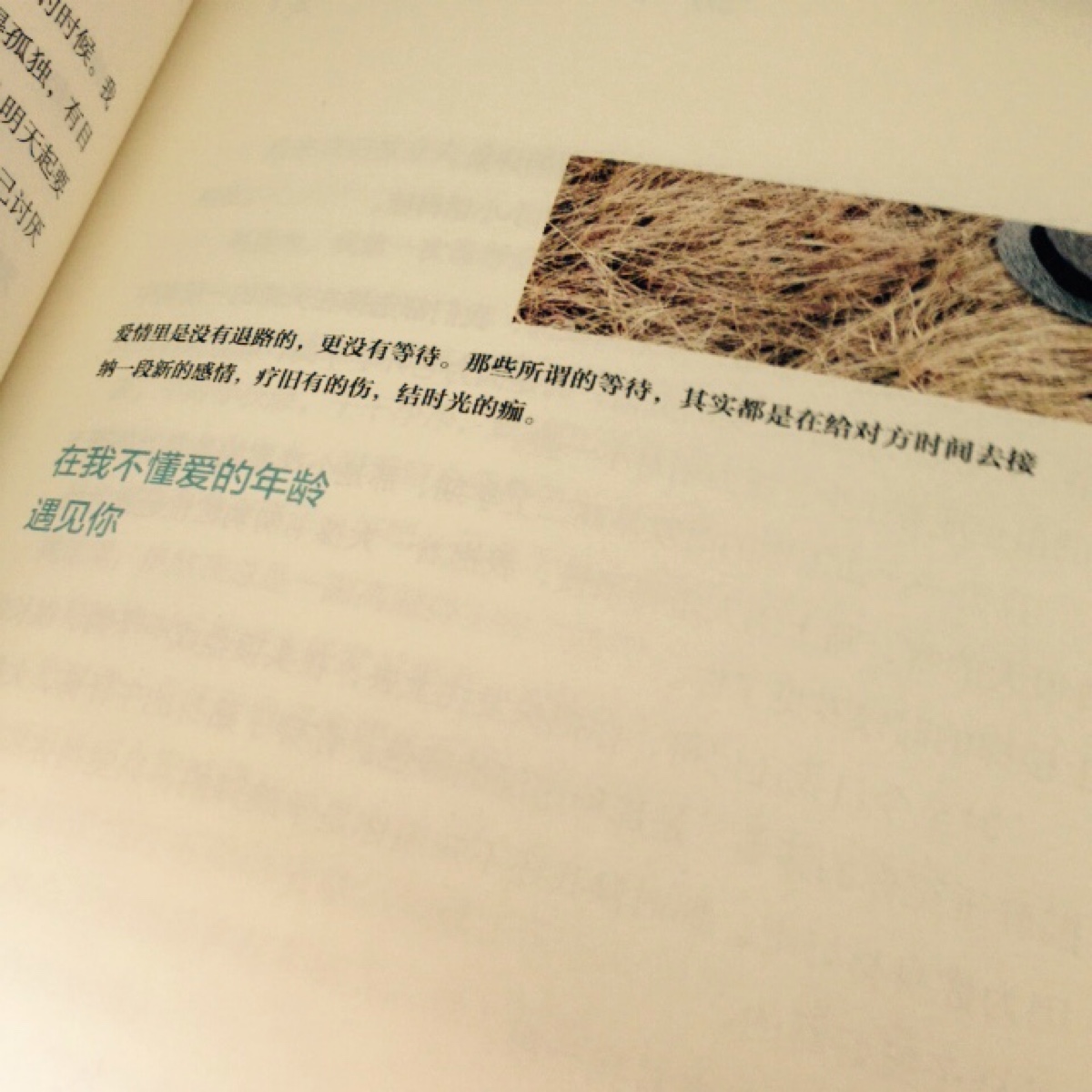 在我不懂爱的年纪 遇见你