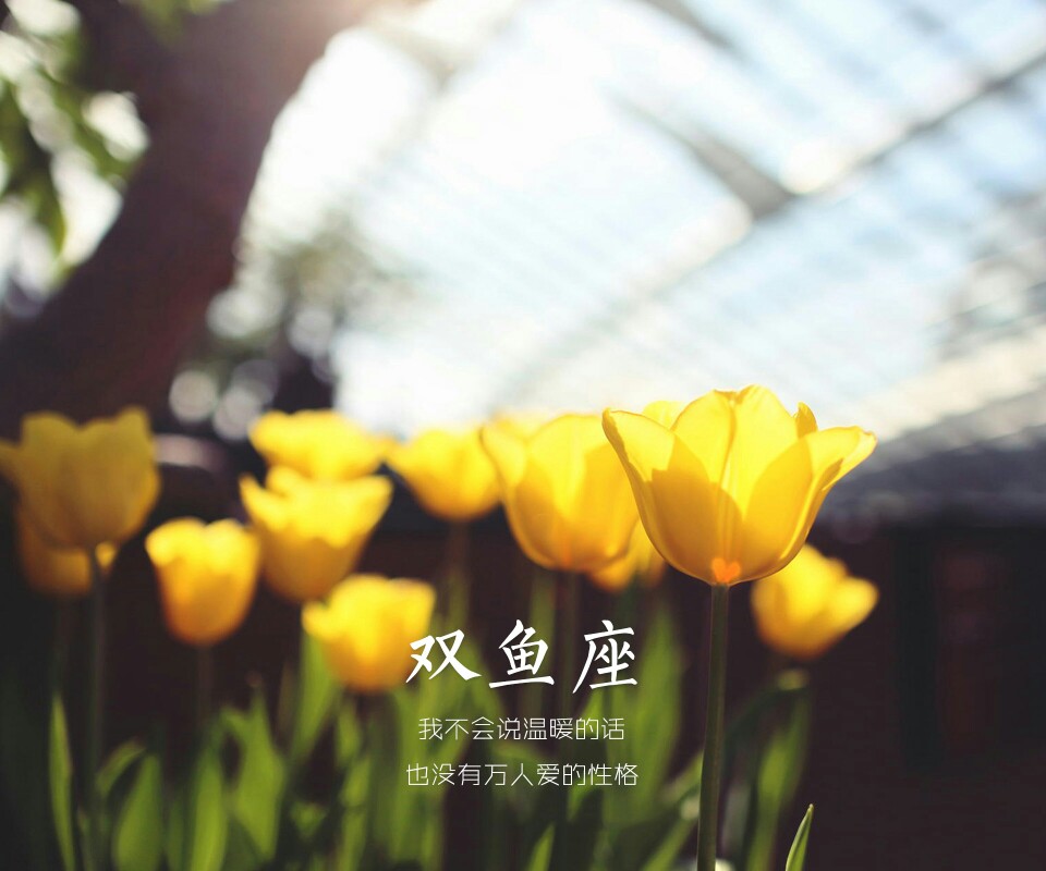 我详解a爱情的话,也不说万人爱的爱情【#双鱼座壁纸#】#特辑#星座巨蟹座2019年性格运势没有图片