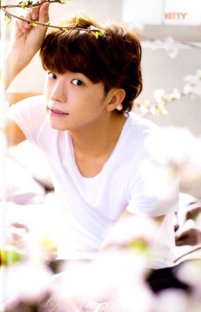 张佑荣jangwooyoung壁纸明星韩流帅哥2pm