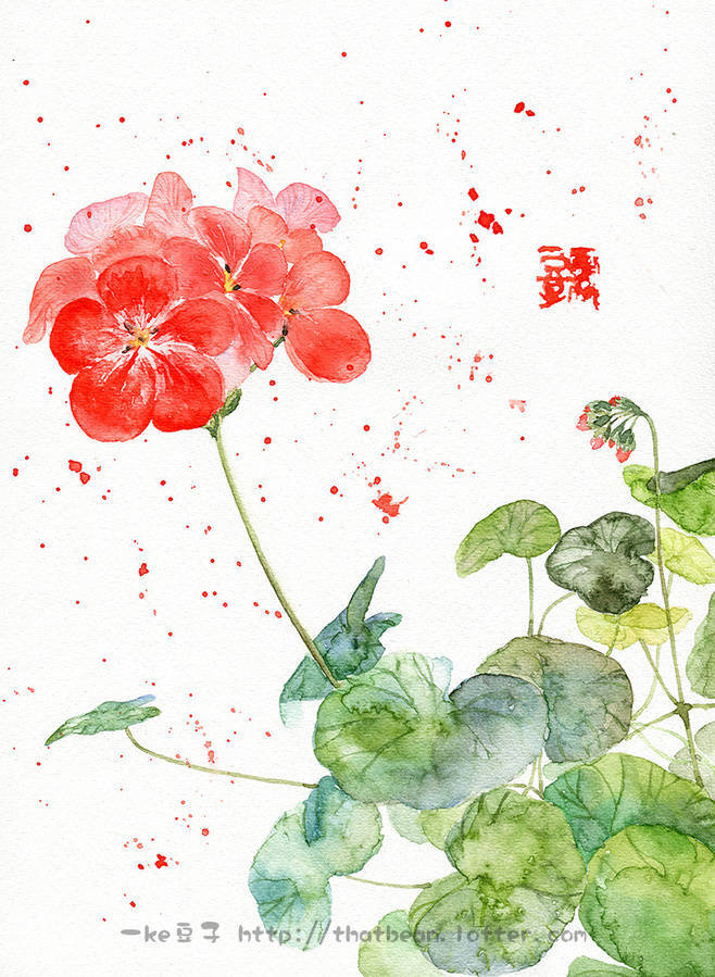 水彩 花开半夏