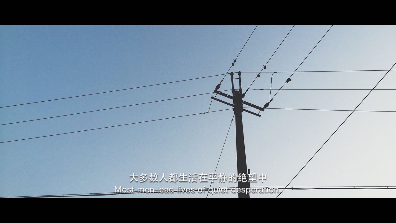 走过 路过