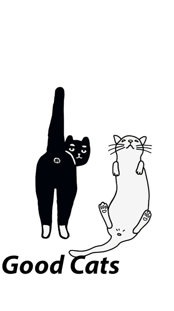猫 原宿 白底 简洁 手机壁纸 锁屏壁纸 聊天背景