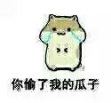 仓鼠 表情系列 脑洞大开 qq表情包 瓜子 #你偷了我的瓜子