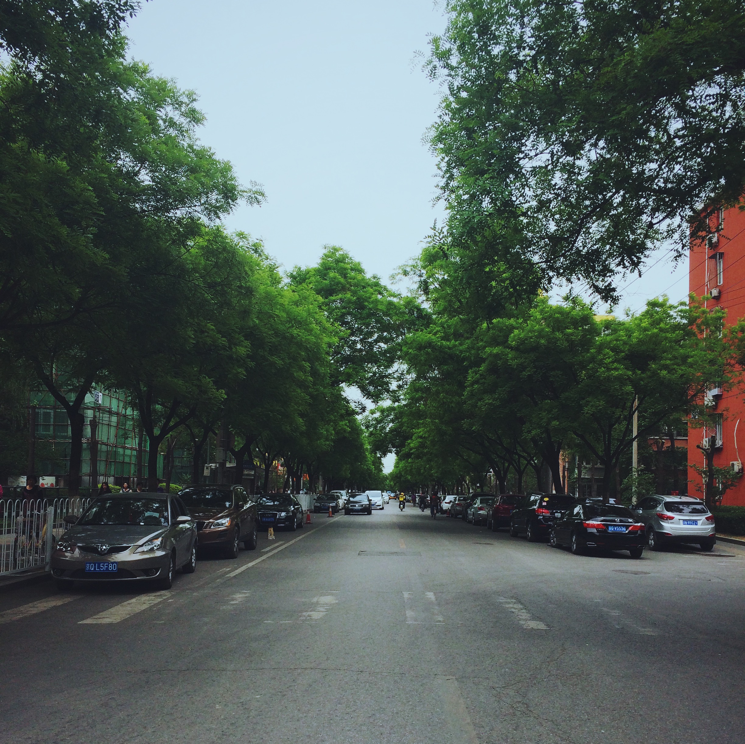 双榆树街道图片