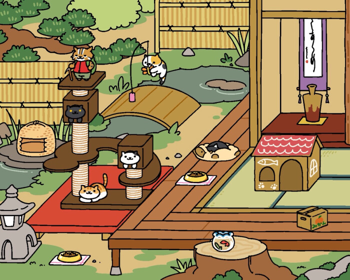 猫咪后院